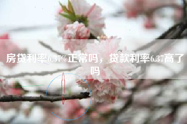 房贷利率6.37%正常吗，贷款利率6.37高了吗