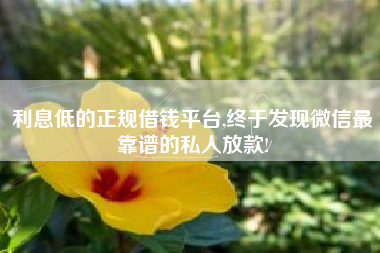 利息低的正规借钱平台,终于发现微信最靠谱的私人放款!