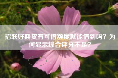 招联好期贷有可借额度就能借到吗？为何显示综合评分不足？