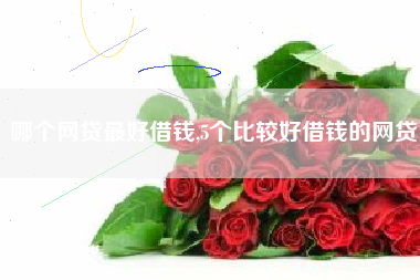 哪个网贷最好借钱,5个比较好借钱的网贷