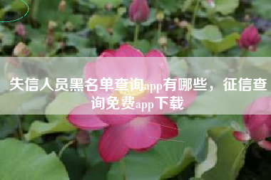 失信人员黑名单查询app有哪些，征信查询免费app下载
