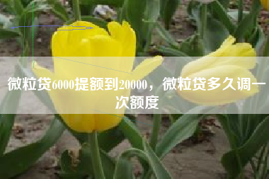 微粒贷6000提额到20000，微粒贷多久调一次额度