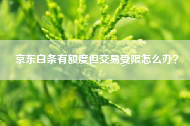 京东白条有额度但交易受限怎么办？
