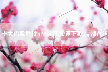 十大借款秒批APP推荐,快速下款app都在这