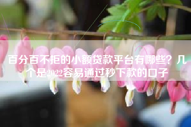 百分百不拒的小额贷款平台有哪些？几个是2022容易通过秒下款的口子
