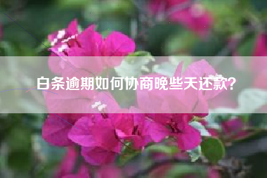 白条逾期如何协商晚些天还款？