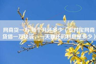 网商贷一万 每个月还多少（支付宝网商贷借一万块钱，一天要还的利息是多少）