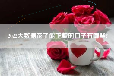 2022大数据花了能下款的口子有哪些?