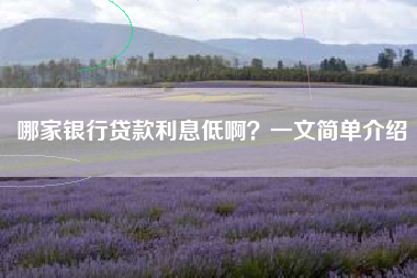 哪家银行贷款利息低啊？一文简单介绍