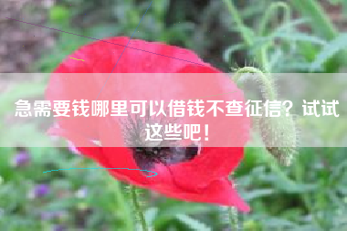 急需要钱哪里可以借钱不查征信？试试这些吧！