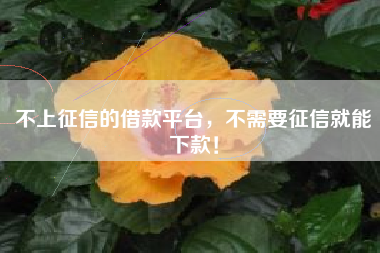 不上征信的借款平台，不需要征信就能下款！