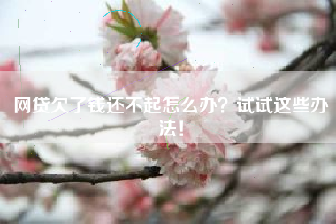 网贷欠了钱还不起怎么办？试试这些办法！