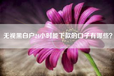 无视黑白户24小时能下款的口子有哪些？
