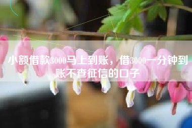 小额借款3000马上到账，借3000一分钟到账不查征信的口子