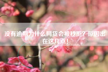 没有逾期为什么网贷会被秒拒？原因出在这几点！
