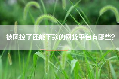 被风控了还能下款的网贷平台有哪些？