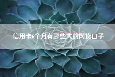 信用卡6个月有哪些大的网贷口子