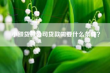 小额贷款公司贷款需要什么条件？