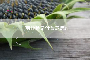 商业险是什么意思?