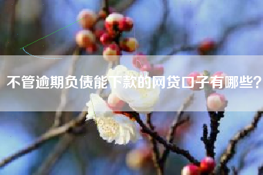 不管逾期负债能下款的网贷口子有哪些？