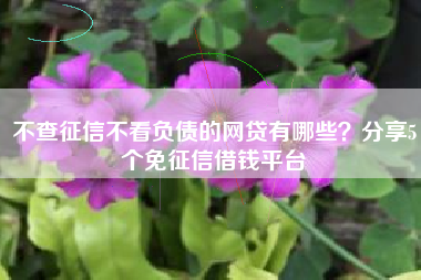 不查征信不看负债的网贷有哪些？分享5个免征信借钱平台