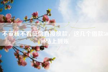 不审核不看征信直接放款，这几个借款5000马上到账