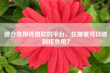 适合急用钱借款的平台，在哪里可以借到钱急用？