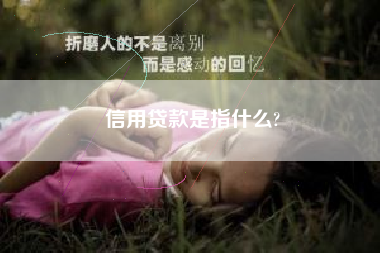 信用贷款是指什么?