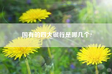 国有的四大银行是哪几个?
