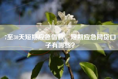 7至30天短期应急借款，短期应急网贷口子有哪些？