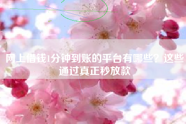 网上借钱1分钟到账的平台有哪些？这些通过真正秒放款