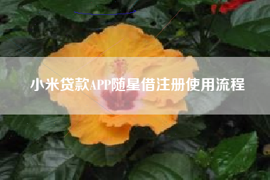 小米贷款APP随星借注册使用流程