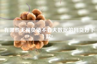 有哪些无视负债不看大数据的网贷好下款?