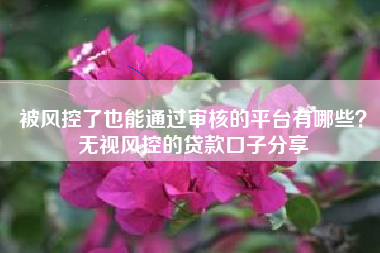 被风控了也能通过审核的平台有哪些？无视风控的贷款口子分享
