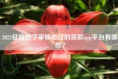 2022征信烂了审核必过的贷款app平台有哪些？