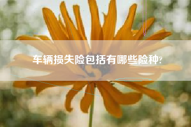 车辆损失险包括有哪些险种?
