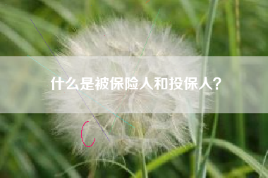 什么是被保险人和投保人？