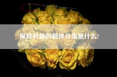 保险利益的载体分类是什么?