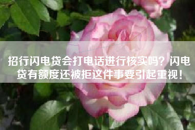 招行闪电贷会打电话进行核实吗？闪电贷有额度还被拒这件事要引起重视！