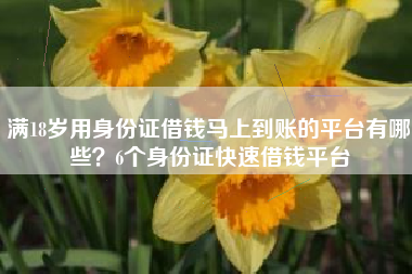 满18岁用身份证借钱马上到账的平台有哪些？6个身份证快速借钱平台