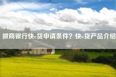 微商银行快e贷申请条件？快e贷产品介绍