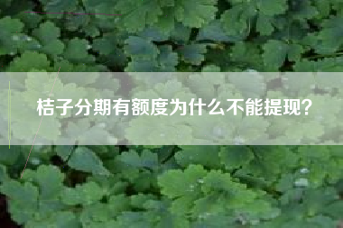 桔子分期有额度为什么不能提现？