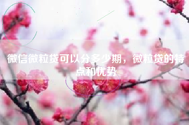 微信微粒贷可以分多少期，微粒贷的特点和优势