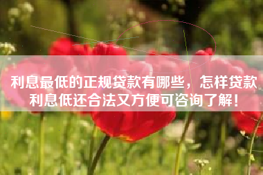 利息最低的正规贷款有哪些，怎样贷款利息低还合法又方便可咨询了解！