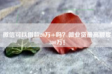 微信可以借款20万+吗？微业贷最高额度300万！