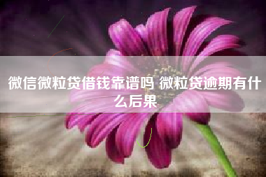 微信微粒贷借钱靠谱吗 微粒贷逾期有什么后果