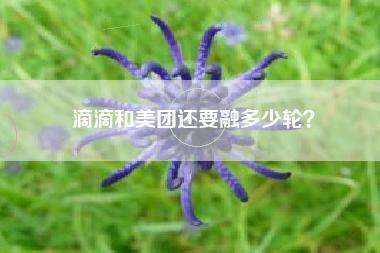 滴滴和美团还要融多少轮？