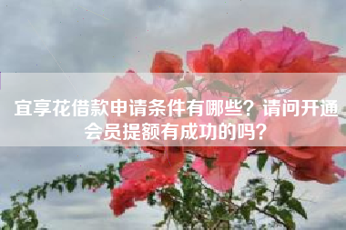 宜享花借款申请条件有哪些？请问开通会员提额有成功的吗？