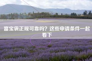 富宝袋正规可靠吗？这些申请条件一起看下