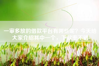 一审多放的借款平台有哪些呢？今天给大家介绍其中一个，下款率不错